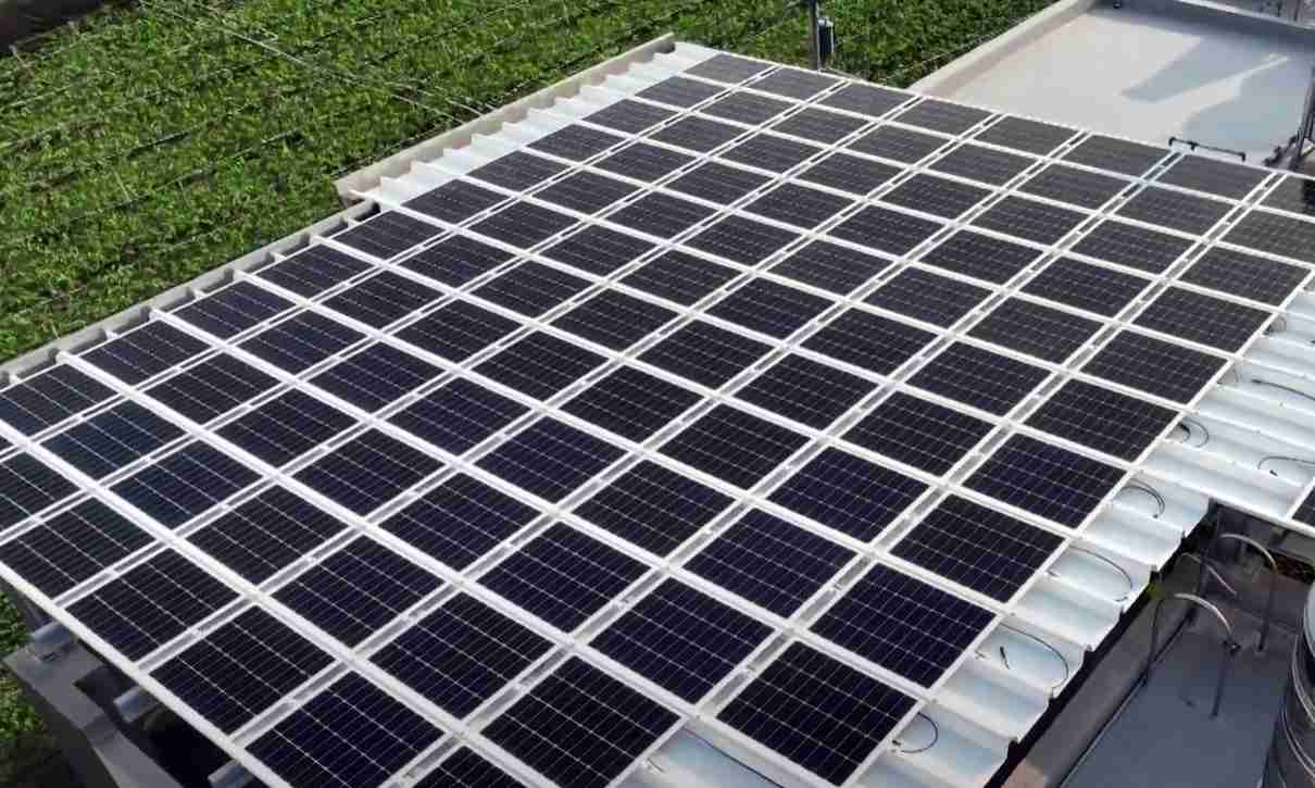 28国际SunSteel光电浪板升级双玻结构，，，以提升机械负载强度及气候耐候度，，，，可广泛运用于多元场域