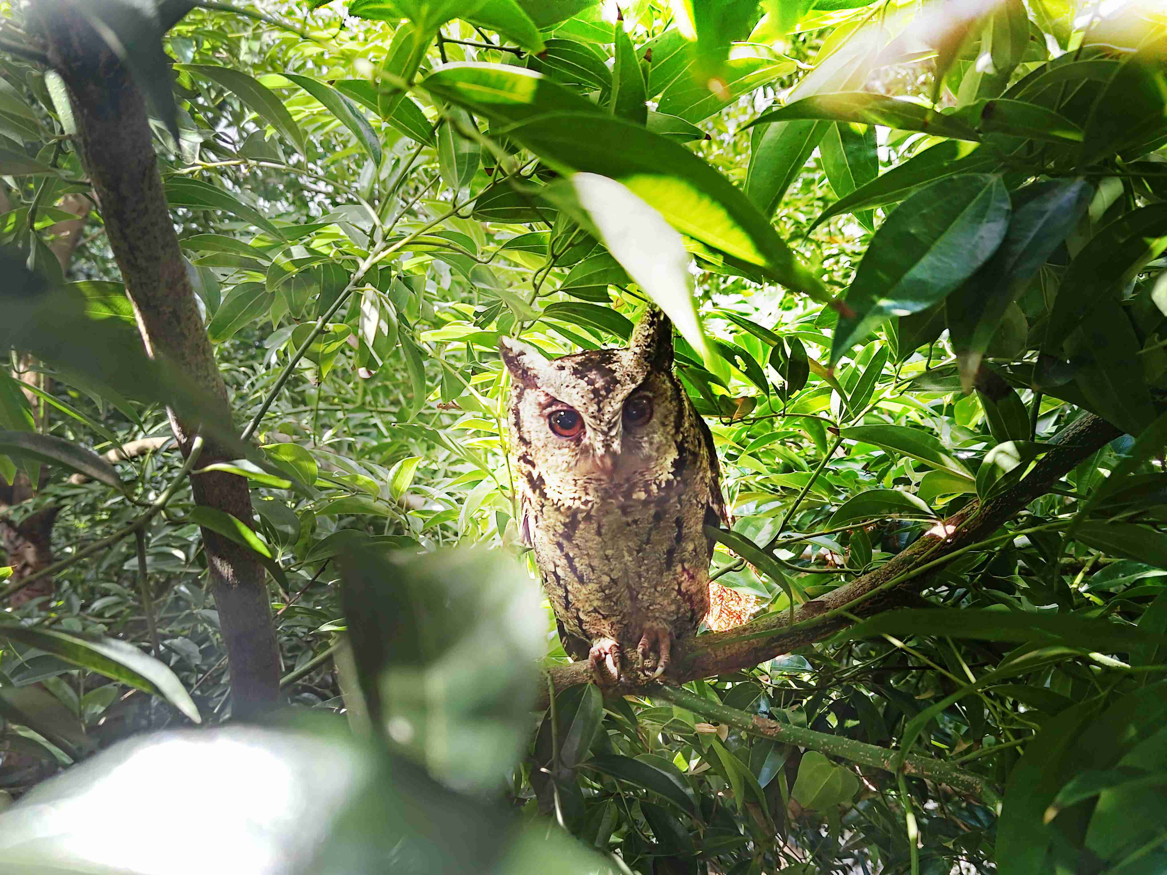 28国际致力提倡净零绿生活，，16年以来在全球各厂区植树逾百万棵，，，造就各厂区树木蔚然成林，，，，犹如森林工厂，，成为许多生物的栖息地